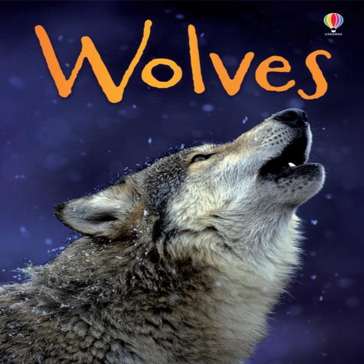 Wolves (Usborne Beginners)