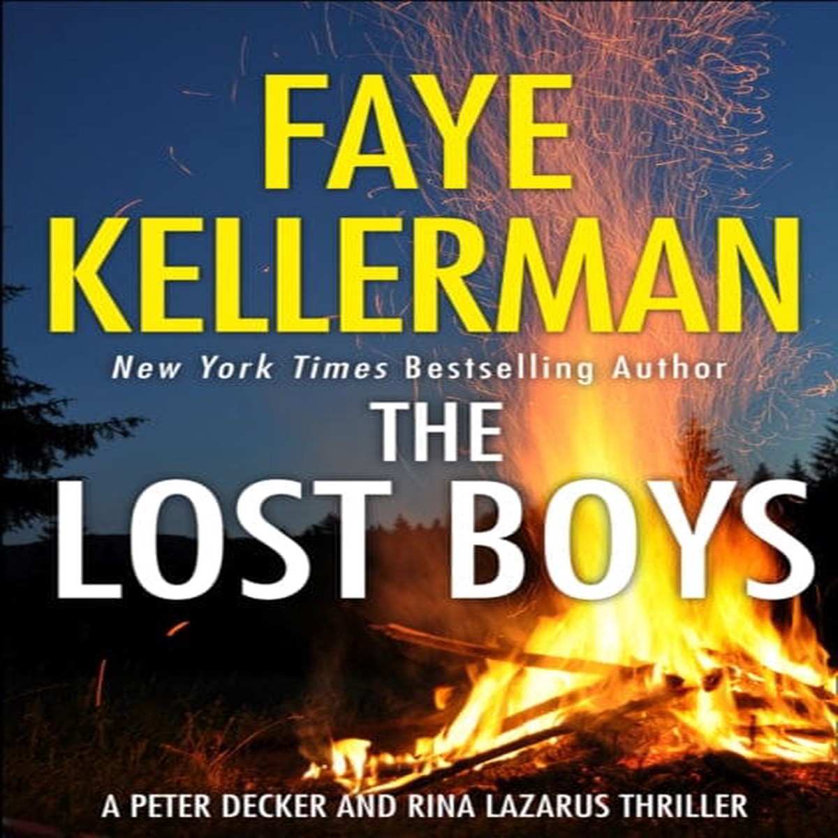 The Lost Boys by Faye Kellerman