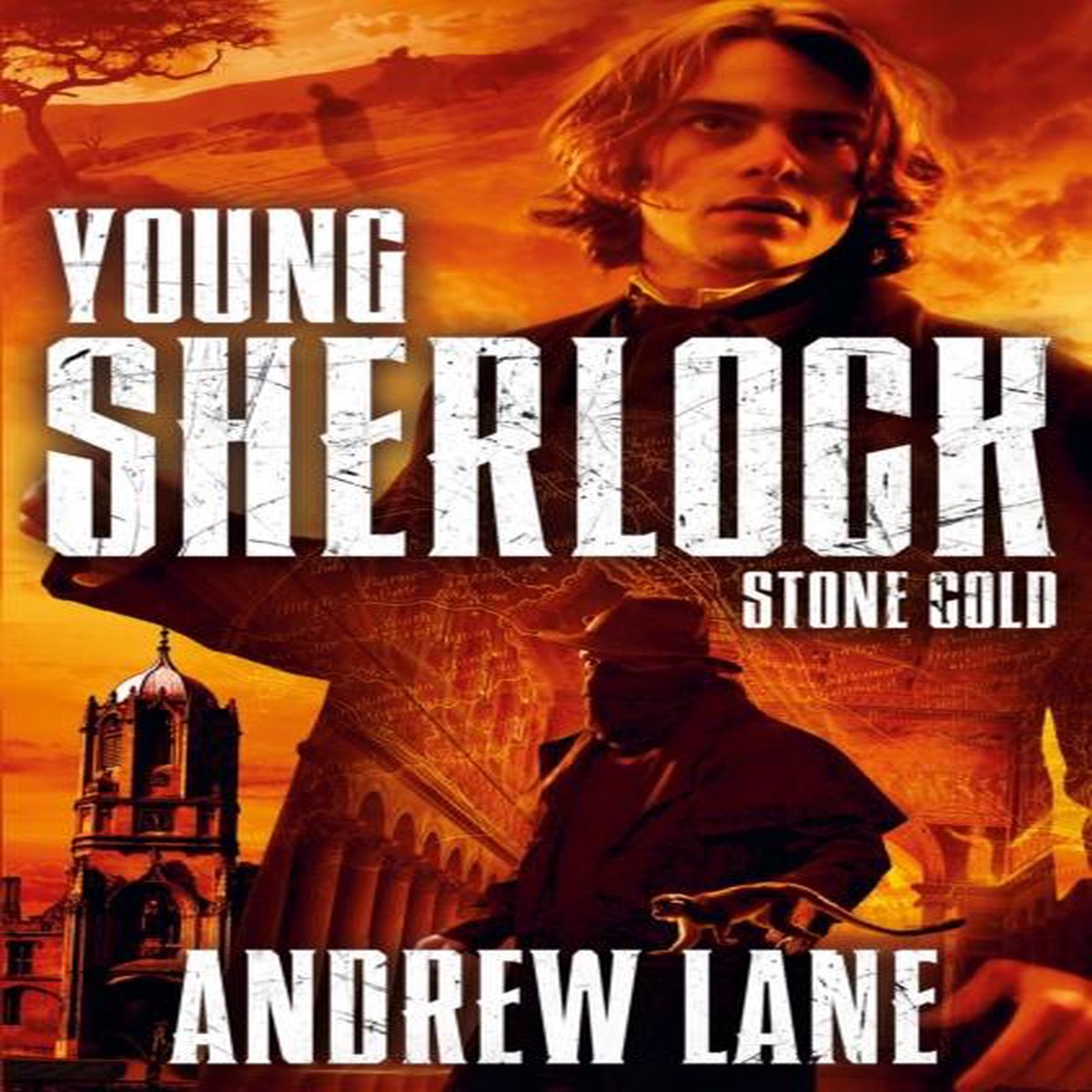 Hot Sale Stone Cold